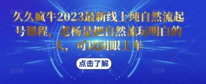 久久疯牛2023最新线上纯自然流起号课程，老杨是把自然流玩明白的人，可以闭眼上车-润泽资源库