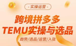 跨境拼多多TEMU实操与选品，​掌握平台运营方法技巧，选品避坑12条标准，爆款的底层思路等-润泽资源库