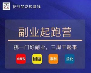 花爷-副业起跑营第2期，挑一门好副业，三周干起来（闲鱼｜小红书｜量化｜套利）-润泽资源库