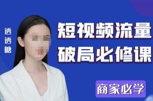 2023最新透糖短视频流量破局必修课——商家必学-润泽资源库