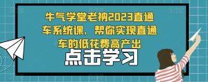 牛气学堂老衲2023直通车系统课,帮你实现直通车的低花费高产出-润泽资源库