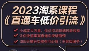 2023直通车低价引流玩法课程，小成本大流量，低价引流快速拉新收割，让你快速掌握直通车突破瓶颈-润泽资源库