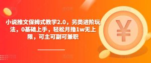 小说推文保姆式教学2.0，另类进阶玩法，0基础上手，轻松月撸1w无上限，可主可副可兼职-润泽资源库