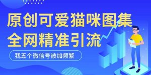 黑科技纯原创可爱猫咪图片，全网精准引流，实操5个VX号被加频繁-润泽资源库