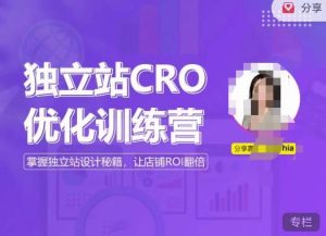 独立站CRO优化训练营，掌握独立站设计秘籍，打造高转化的独立站，让店铺ROI翻倍-润泽资源库