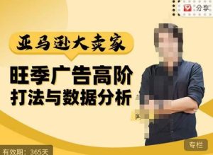阿甘·亚马逊大卖家广告高阶打法与数据分析,走出传统广告误区;揭秘大卖惯用打法;数据驱动广告决策-润泽资源库