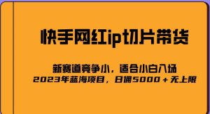 2023爆火的快手网红IP切片，号称日佣5000＋的蓝海项目，二驴的独家授权-润泽资源库