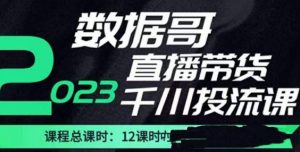 数据哥2023直播电商巨量千川付费投流实操课,快速掌握直播带货运营投放策略-润泽资源库