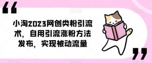 ​小淘2023网创类粉引流术，自用引流涨粉方法发布，实现被动流量-润泽资源库