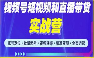 2023最新微信视频号引流和变现全套运营实战课程，小白也能玩转视频号短视频和直播运营-润泽资源库