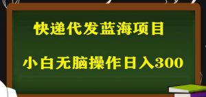2023最新蓝海快递代发项目,小白零成本照抄也能日入300+-润泽资源库