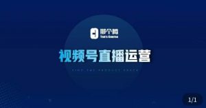 那个腾·视频号直播运营，​视频号直播推流逻辑/流量渠道解析/直播起号攻略/直播实操技巧-润泽资源库