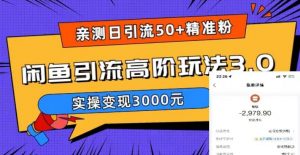 亲测日引50+精准粉，闲鱼引流高阶玩法3.0，实操变现3000元【揭秘】-润泽资源库