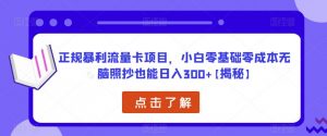 正规暴利流量卡项目,小白零基础零成本无脑照抄也能日入300+【揭秘】-润泽资源库