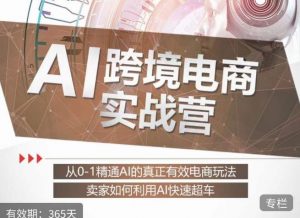 白龙老师·AI跨境电商实战营:从0-1精通Al的真正有效电商玩法,卖家如何利用Al快速超车-润泽资源库