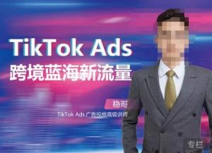 稳哥·如何投出高ROI的TikTok广告,开拓独立站卖家流量新蓝海-润泽资源库