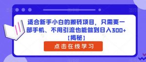 适合新手小白的搬砖项目,只需要一部手机、不用引流也能做到日入300+【揭秘】-润泽资源库