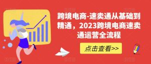 跨境电商-速卖通从基础到精通，2023跨境电商速卖通运营全流程-润泽资源库