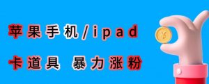 最新利用苹果手机/ipad的ios系统,卡道具搬短视频,百分百过原创-润泽资源库