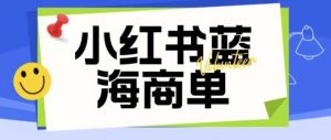 价值2980的小红书商单项目暴力起号玩法,一单收益200-300(可批量放大)-润泽资源库