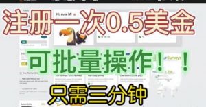 国外项目注册一次0.5美金,只需三分钟无脑操作,可批量同时放大操作,小白工作室福利【揭秘】-润泽资源库