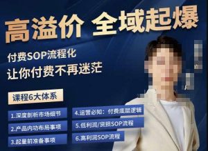 逸风-拼多多高溢价全域起爆,6大课程体系,付费玩法全套实操-润泽资源库