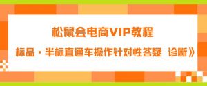 松鼠会电商VIP教程：松鼠《付费推广标品·半标直通车操作针对性答疑&诊断》-润泽资源库