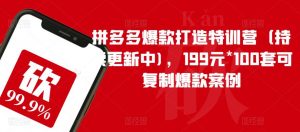拼多多爆款打造特训营（持续更新中)，199元*100套可复制爆款案例-润泽资源库