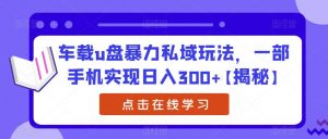 车载u盘暴力私域玩法,一部手机实现日入300+【揭秘】-润泽资源库