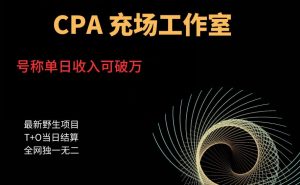 cpa充场工作室，号称单日收入10000+（揭秘）-润泽资源库