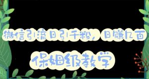 微信互推圈半自动引流方案,矩阵操作日引千人思路【详细视频教程】-润泽资源库