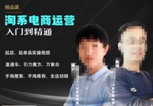 2023手淘搜索实操课+体系化课程,起店起单品实操视频课程-润泽资源库