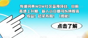 有道词典WOW社区蓝海项目，目前高速上升期，新人小白都可以换取高收益！赶紧布局！【揭秘】-润泽资源库