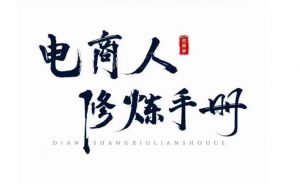 照顾酱·电商人修炼手册,从0到1,手把手教你理解淘宝运营底层逻辑-润泽资源库