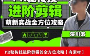 PR进阶剪辑培训班,让你快速成为剪辑大师12节视频课程+素材!-润泽资源库