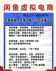 外边收费600多的闲鱼新玩法虚似电商之拼多多助力项目,单号100-300元-润泽资源库