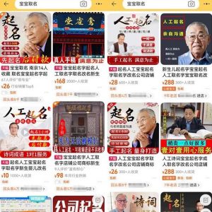 拆解小红书宝宝起名虚拟副业项目,一条龙实操玩法分享给你(教程+软件)-润泽资源库