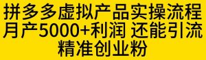 拼多多虚拟产品实操流程，月产5000+利润，还能引流精准创业粉【揭秘】-润泽资源库