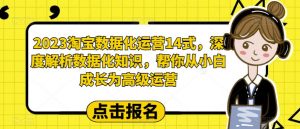2023淘宝数据化运营14式,深度解析数据化知识,帮你从小白成长为高级运营-润泽资源库