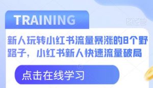 新人玩转小红书流量暴涨的8个野路子,小红书新人快速流量破局-润泽资源库