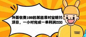 外面收费188的美团准时宝赔付项目,一小时完成一单利润200【仅揭秘】-润泽资源库