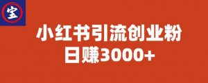 宝哥小红书引流创业粉,日赚3000+【揭秘】-润泽资源库