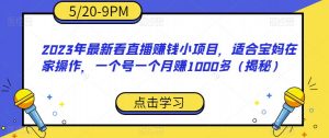 2023年最新看直播赚钱小项目，适合宝妈在家操作，一个号一个月赚1000多（揭秘）-润泽资源库
