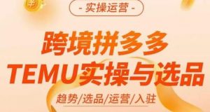 伍跃·跨境拼多多TEMU实操与选品，​趋势/选品/运营/入住（27节完整）-润泽资源库