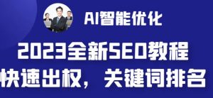 2023最新网站AI智能优化SEO教程,简单快速出权重,AI自动写文章+AI绘画配图-润泽资源库