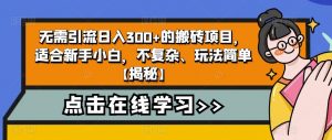 4个冷门副业思路玩法，从0到1，闷声发财，让你实现财富自由【揭秘】-润泽资源库