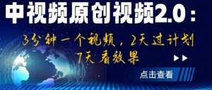 中视频原创视频2.0：3分钟一个视频，2天过计划，7天看效果【揭秘】-润泽资源库
