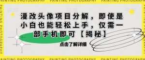 漫改头像项目分解,即使是小白也能轻松上手,仅需一部手机即可【揭秘】-润泽资源库