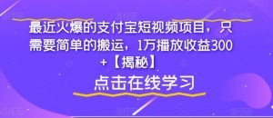 最近火爆的支付宝短视频项目，只需要简单的搬运，1万播放收益300+【揭秘】-润泽资源库