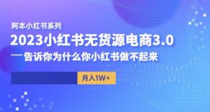阿本小红书无货源电商3.0，告诉你为什么你小红书做不起来-润泽资源库